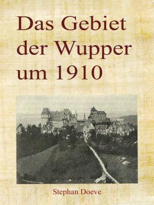 Book cover of Das Gebiet der Wupper um 1910