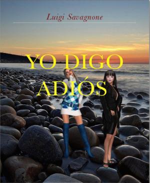 Cover of the book Yo Digo Adiós by Jörg Bauer