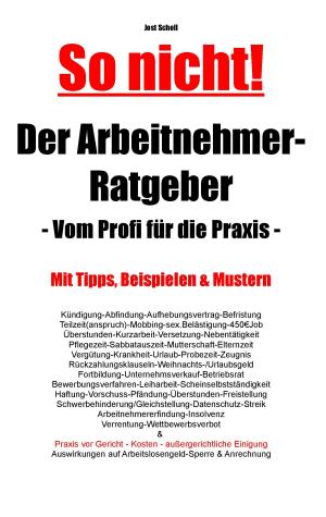 Cover of the book Der Arbeitnehmer-Ratgeber by 