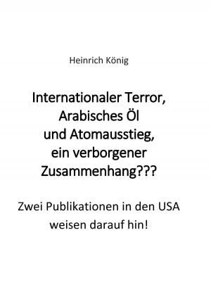 Cover of the book Internationaler Terror, Arabisches Öl und Atomausstieg, ein verborgener Zusammenhang??? by Hans-Peter Kolb