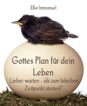 Cover of the book Gottes Plan für dein Leben by Cedric Balmore