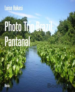 Book cover of Photo Trip Brazil: Pantanal