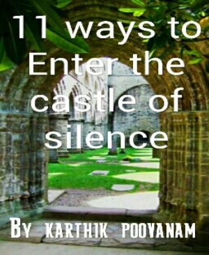 Book cover of 11 ways to enter the castle of silence