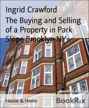 Cover of the book The Buying and Selling of a Property in Park Slope Brooklyn NY by Danny Wilson