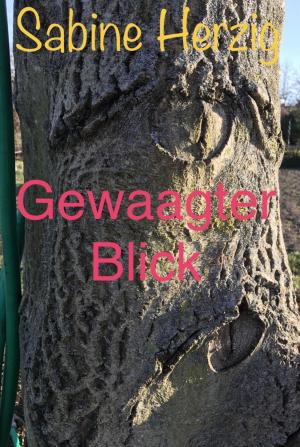 Cover of the book Gewaagter Blick by Alfred J. Schindler