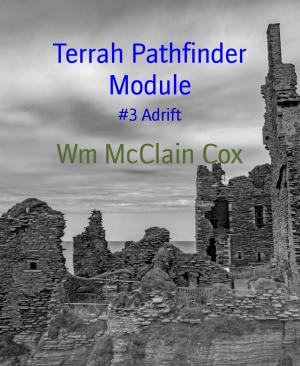 Cover of the book Terrah Pathfinder Module by BR Raksun