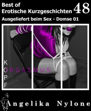 Book cover of Erotische Kurzgeschichten - Best of 48