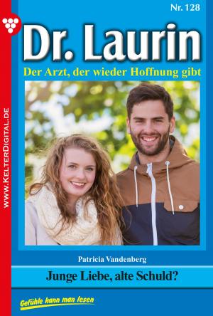 Cover of the book Dr. Laurin 128 – Arztroman by Markus Steinberger, Anne Altenried