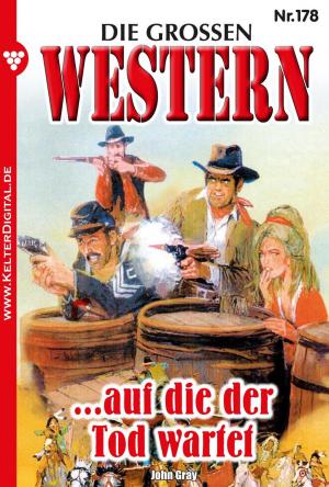 Cover of the book Die großen Western 178 by Toni Waidacher