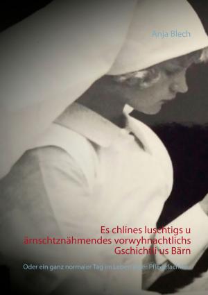 Cover of the book Es chlines luschtigs u ärnschtznähmendes vorwyhnachtlichs Gschichtli us Bärn by Diana Neubauer
