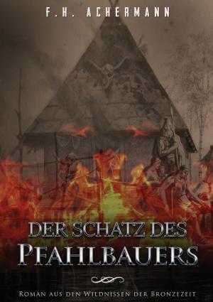 Cover of the book Der Schatz des Pfahlbauers by Edgar Wallace