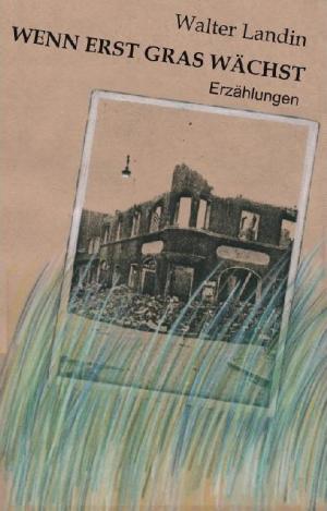 Book cover of Wenn erst Gras wächst