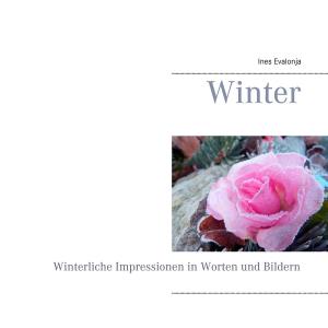 Cover of the book Winter by Norbert Stolberg