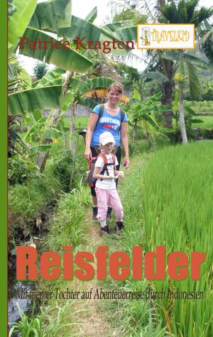 Cover of the book Reisfelder by Paul Féval
