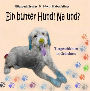 bigCover of the book Ein bunter Hund! Na und? by 