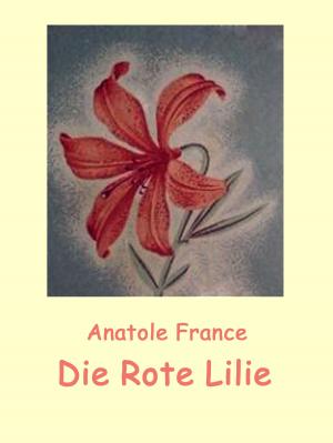 Cover of the book Die Rote Lilie by Peter Grunau