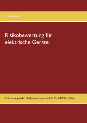 Cover of the book Risikobewertung für elektrische Geräte by Jost Scholl