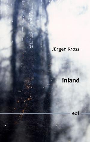 Cover of the book inland by Ursula Di Chito