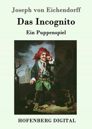 Cover of the book Das Incognito by Oswald Spengler