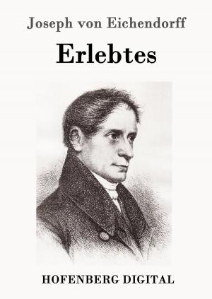 Cover of the book Erlebtes by Christian Fürchtegott Gellert