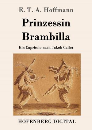 Book cover of Prinzessin Brambilla