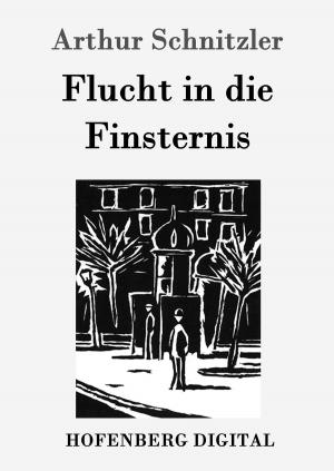 Cover of the book Flucht in die Finsternis by Michael Georg Conrad