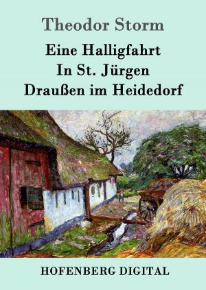 Book cover of Eine Halligfahrt / In St. Jürgen / Draußen im Heidedorf