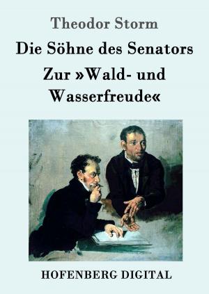 Cover of the book Die Söhne des Senators / Zur »Wald- und Wasserfreude« by Johann Wolfgang Goethe