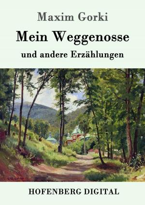 Cover of the book Mein Weggenosse und andere Erzählungen by Theodor Storm