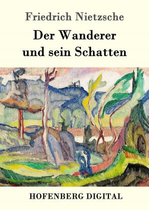 Book cover of Der Wanderer und sein Schatten