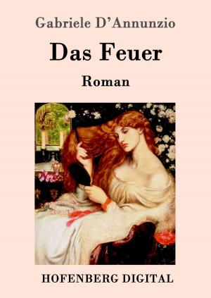 Cover of the book Das Feuer by Robert Louis Stevenson