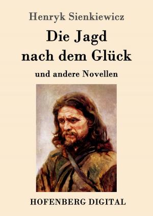 Cover of the book Die Jagd nach dem Glück und andere Novellen by Emily Brontë