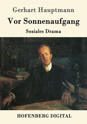 Cover of the book Vor Sonnenaufgang by Ludwig Achim von Arnim