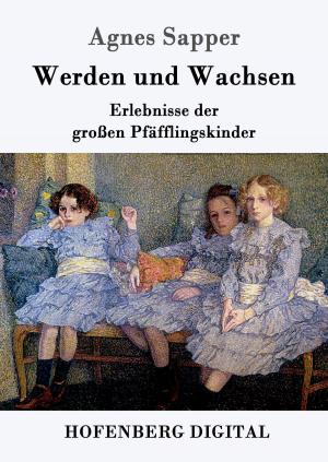 Cover of the book Werden und Wachsen by Jean Paul