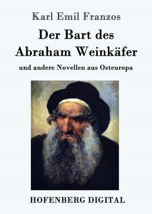 Book cover of Der Bart des Abraham Weinkäfer