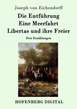 Book cover of Die Entführung / Eine Meerfahrt / Libertas und ihre Freier