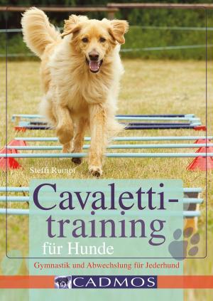 Cover of the book Cavalettitraining für Hunde by Darcy Pattison