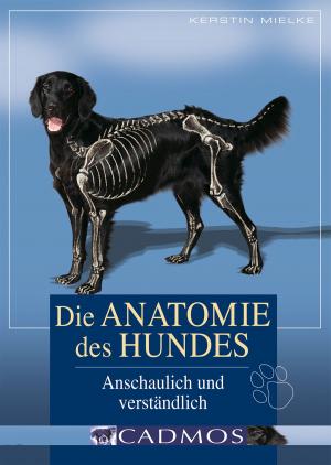 Cover of the book Die Anatomie des Hundes by Nikola Fersing