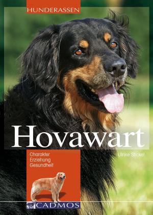 Cover of the book Hovawart by Susanne Vorbrich