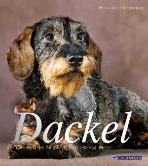 Cover of the book Dackel by Kathrin Schar, Thomas Riepe