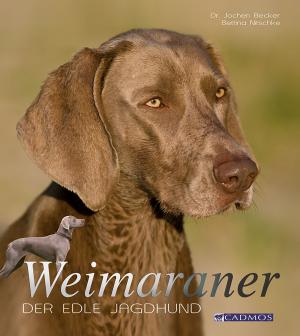 Cover of the book Weimaraner by Ines Scheuer-Dinger