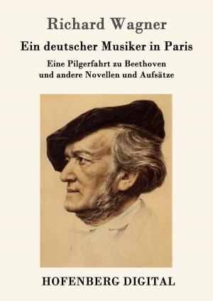 Book cover of Ein deutscher Musiker in Paris