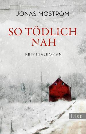 bigCover of the book So tödlich nah by 