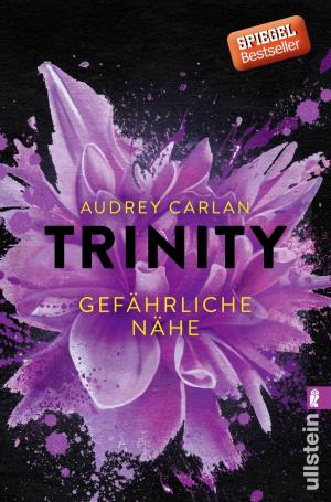 Cover of Trinity - Gefährliche Nähe