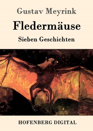 Cover of the book Fledermäuse by Hermann Löns