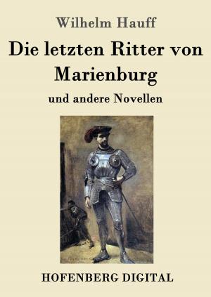 Cover of the book Die letzten Ritter von Marienburg by Carl Einstein