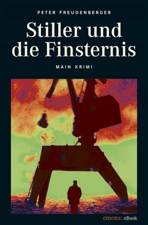 Cover of the book Stiller und die Finsternis by Edgar Noske