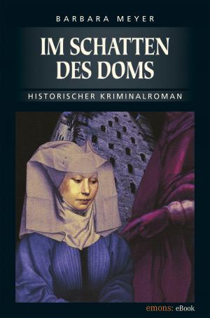 Cover of the book Im Schatten des Doms by Stefan Winges