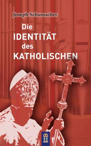 Cover of Die Identität des Katholischen