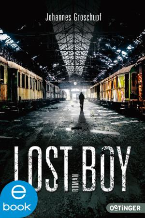 Cover of the book Lost Boy by Tine Körner, Cassandra Krammer